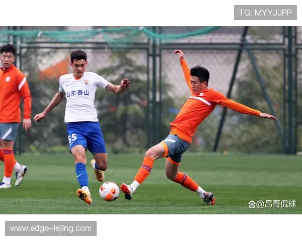 赫尔城俱乐部迎来关键转折新赛季重组计划引发球迷热议